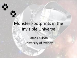 Monster Footprints in the Invisible Universe