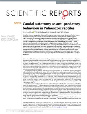 Caudal Autotomy As Anti-Predatory Behaviour in Palaeozoic Reptiles A