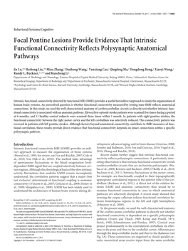 Focal Pontine Lesions Provide Evidence That Intrinsic Functional Connectivity Reflects Polysynaptic Anatomical Pathways