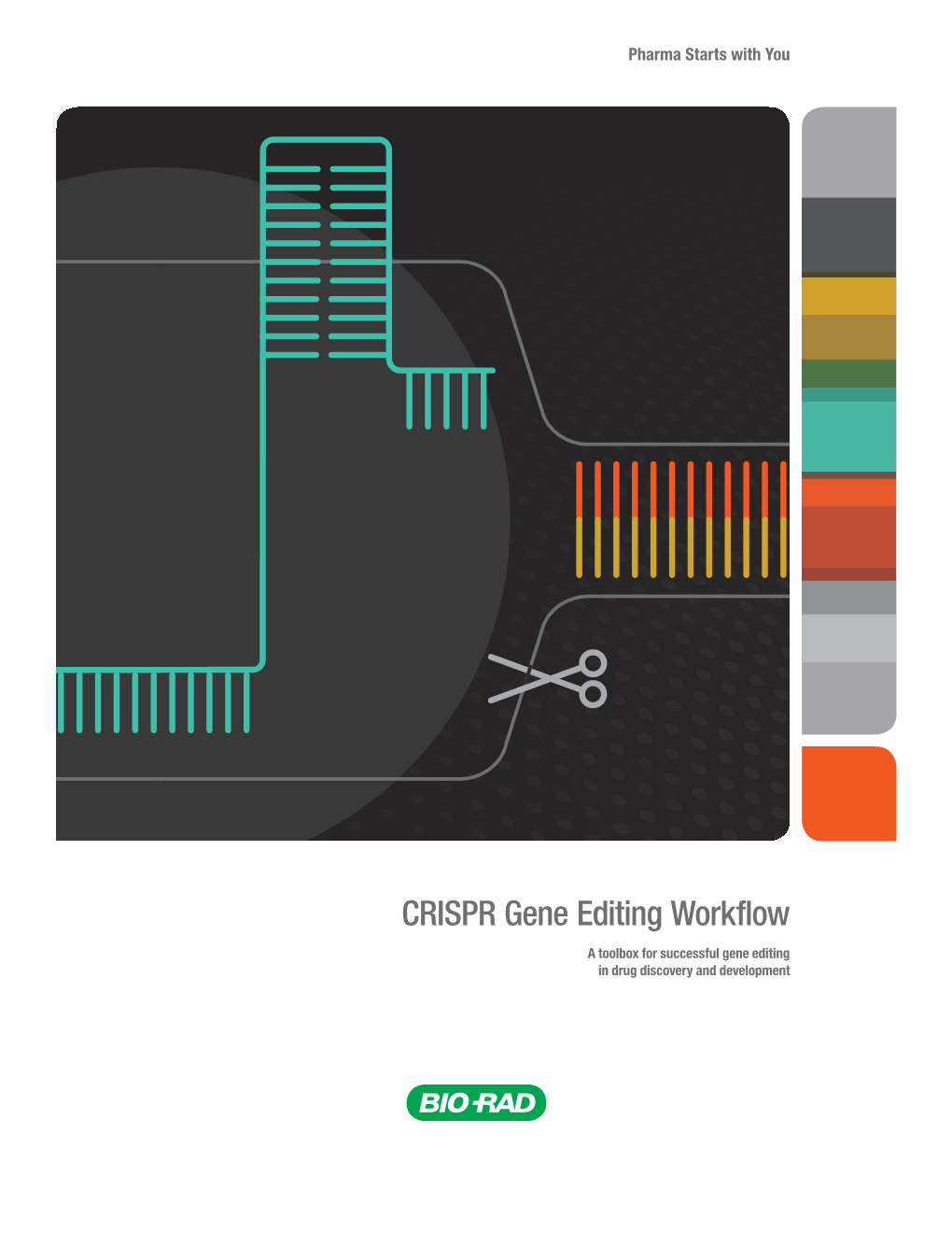 CRISPR Gene Editing Workflow