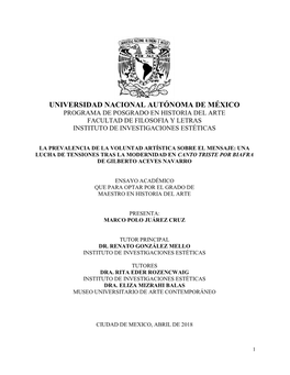 Universidad Nacional Autónoma De México Programa De Posgrado En Historia Del Arte Facultad De Filosofia Y Letras Instituto De Investigaciones Estéticas