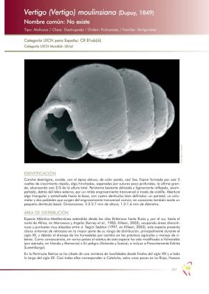 (Vertigo) Moulinsiana (Dupuy, 1849) Nombre Común: No Existe Tipo: Mollusca / Clase: Gastropoda / Orden: Pulmonata / Familia: Vertiginidae