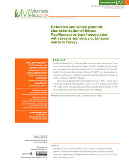 Detection and Whole Genomic Characterization of Bovine Papillomavirus Type 1 Associated with Severe Mammary Cutaneous Warts in Turkey