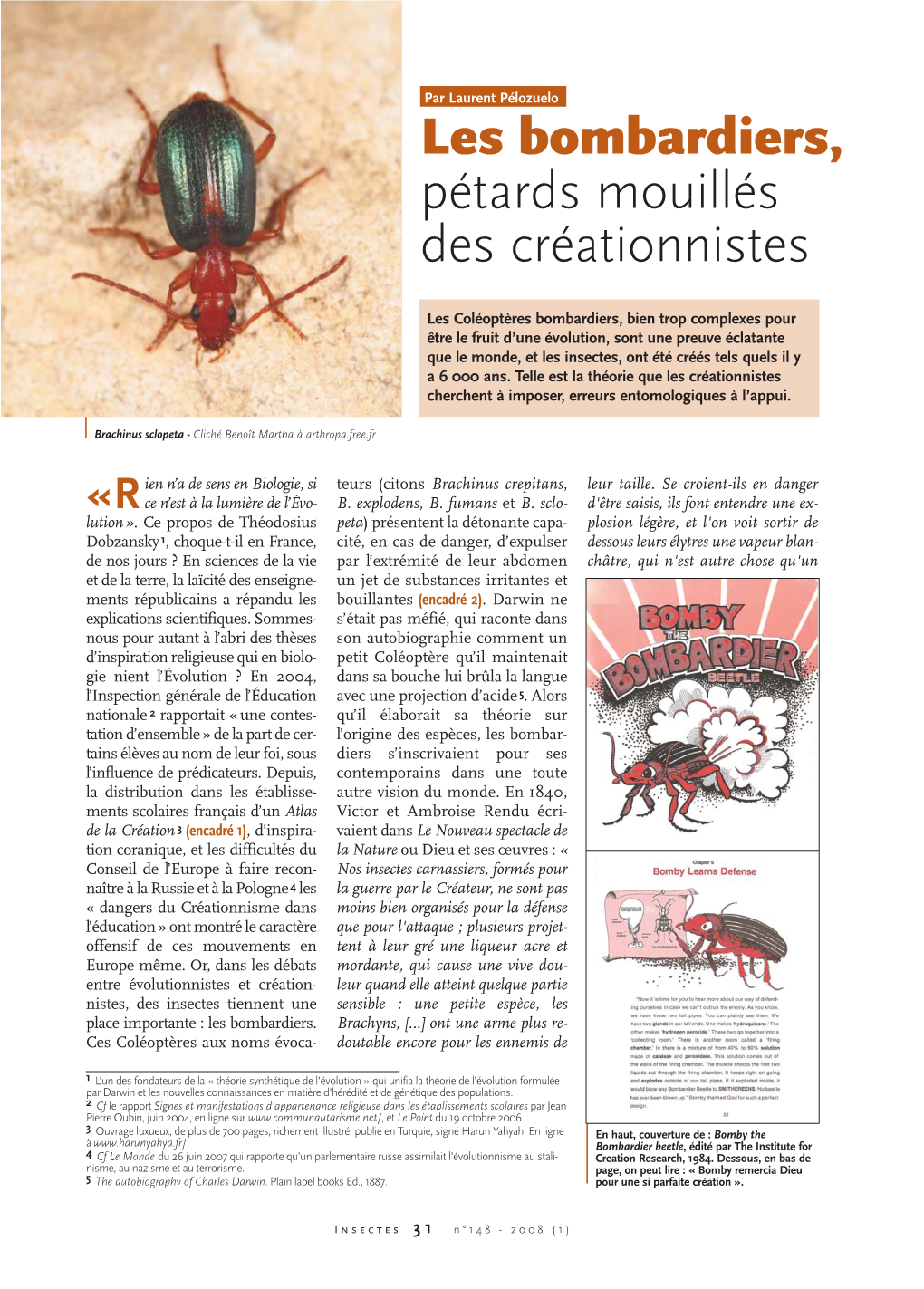Bombardiers Et Créationnistes / Insectes N°