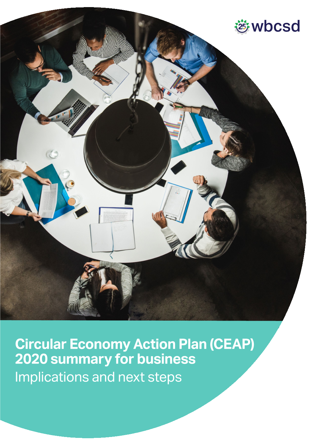 Circular Economy Action Plan (CEAP) 2020 Summary for Business Implications and Next Steps Contents