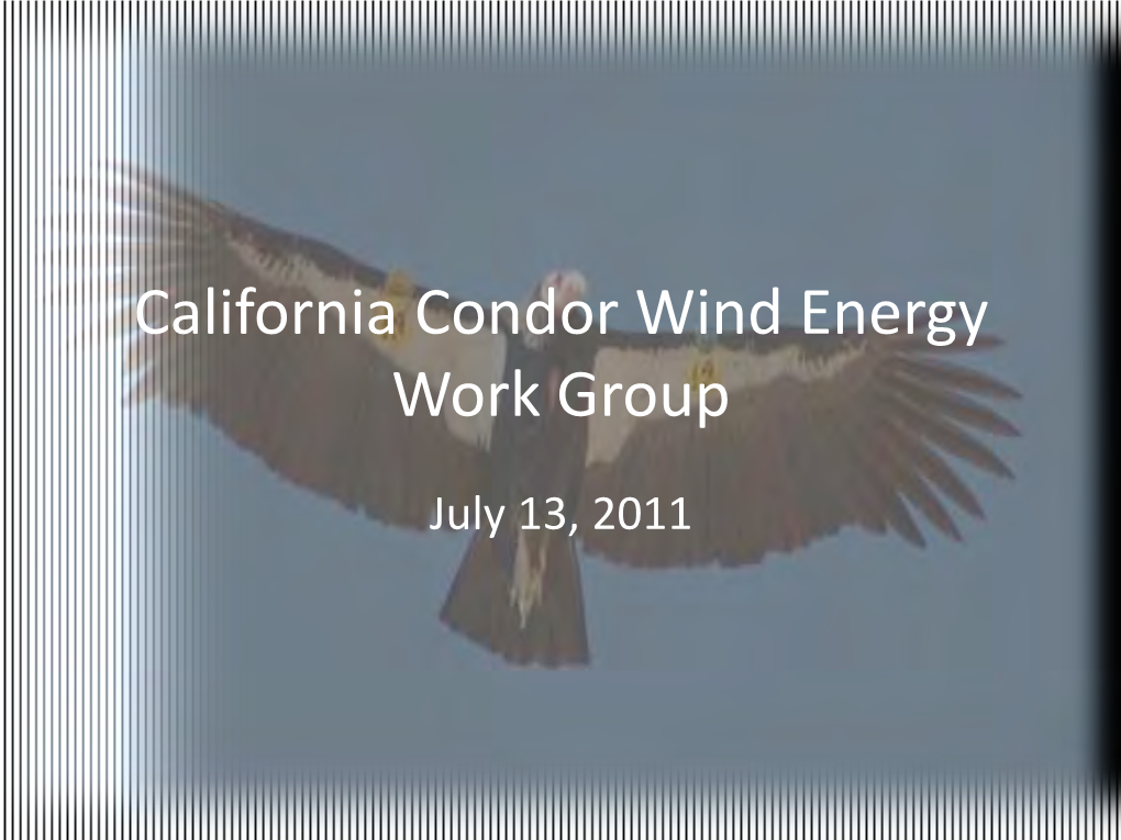 California Condor Wind Energy Work Group