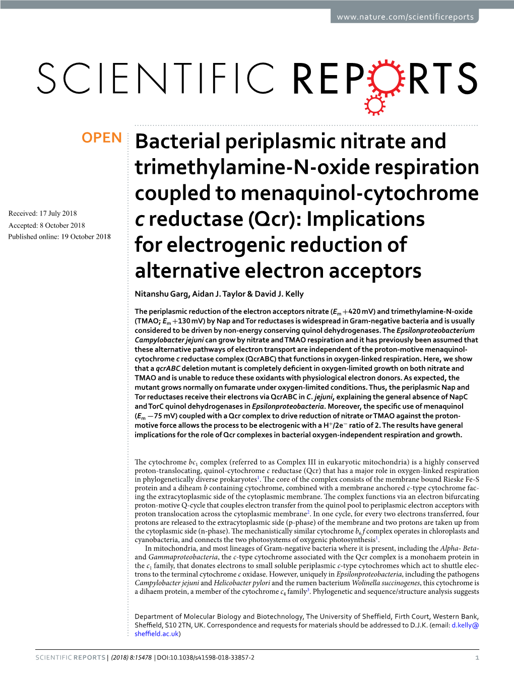 Bacterial Periplasmic Nitrate and Trimethylamine-N-Oxide Respiration