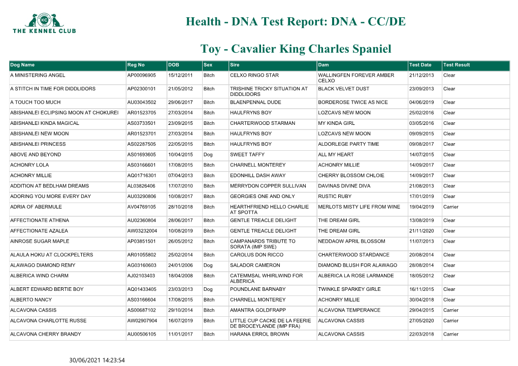 DNA Test Report: DNA - CC/DE