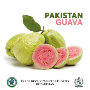 Guava Brochure