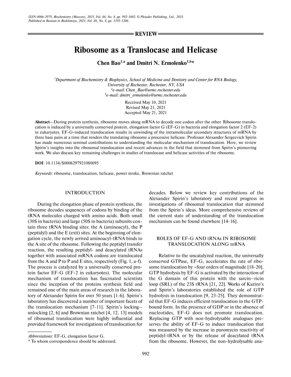 Ribosome As a Translocase and Helicase