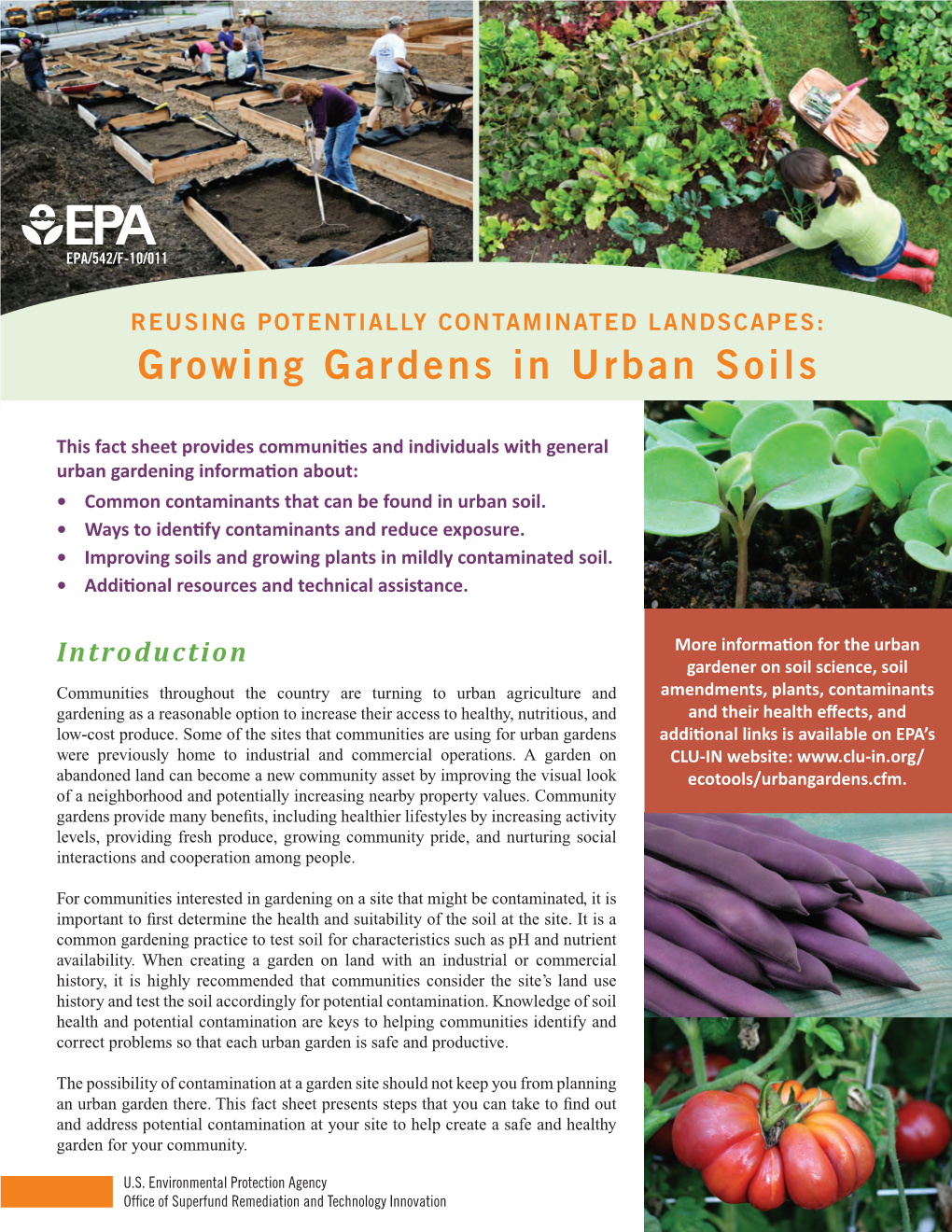 Growing Gardens in Urban Soils