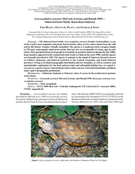 Leucocephalon Yuwonoi (Mccord, Iverson, and Boeadi 1995) – Sulawesi Forest Turtle, Kura-Kura Sulawesi