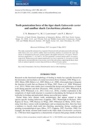 Teeth Penetration Force of the Tiger Shark Galeocerdo Cuvier and Sandbar Shark Carcharhinus Plumbeus