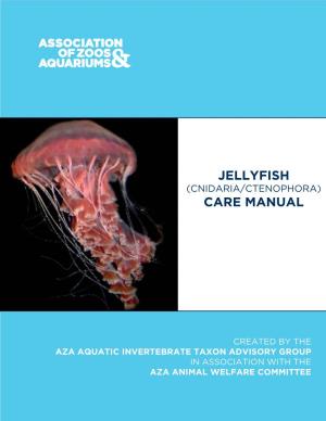 Jellyfish (Cnidaria/Ctenophora)