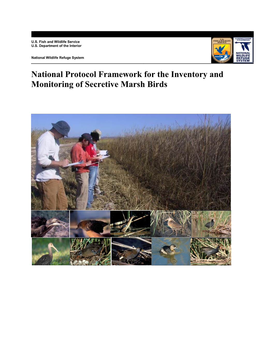 National Protocol Framework for the Inventory and Monitoring of Secretive Marsh Birds