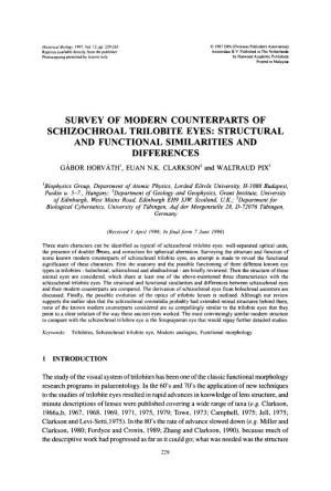 Survey of Modern Counterparts Of