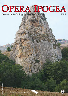 Journal of Speleology in Artificial Cavities 2 / 2012