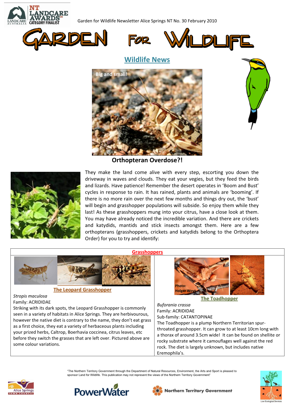 March 2010 Newsletter [PDF 2 MB]Orthopteran Overdose?!