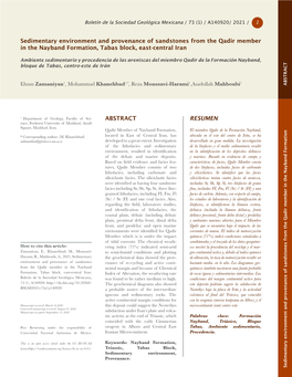 RESUMEN ABSTRACT Sedimentary Environment and Provenance Of