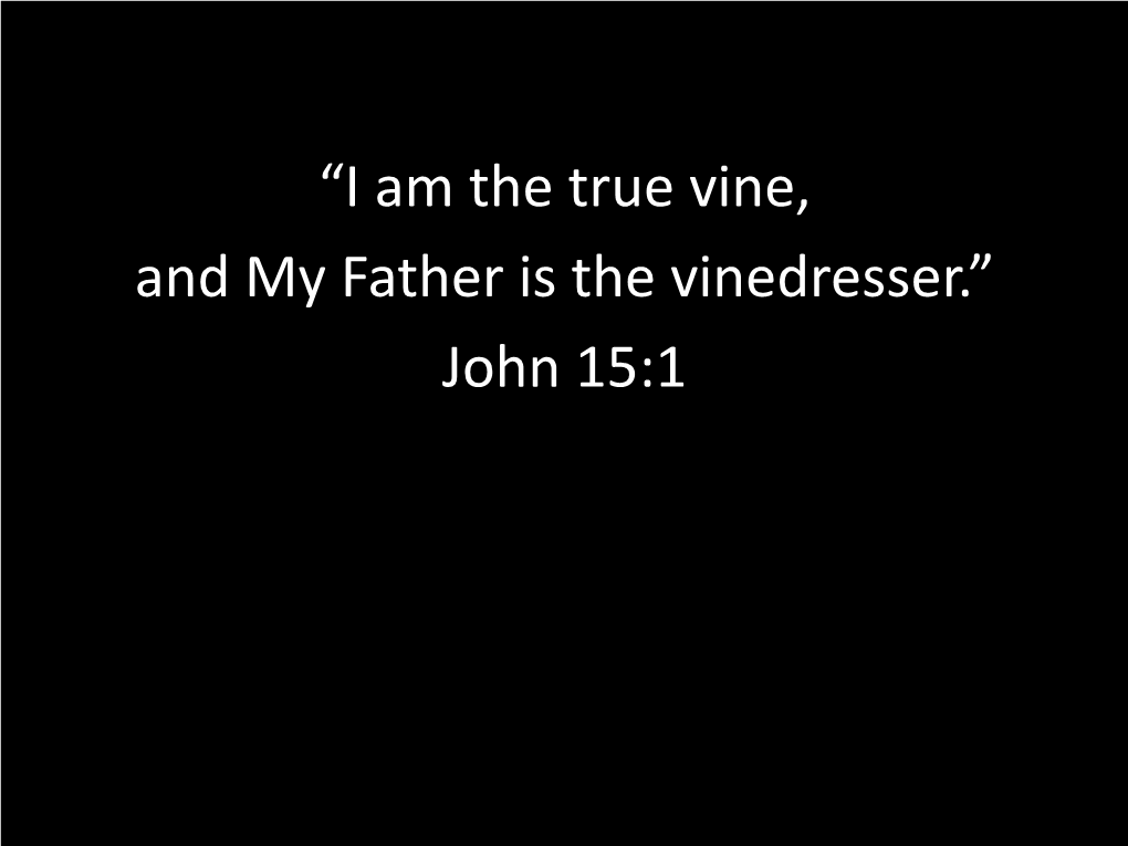 “I Am the True Vine, and My Father Is the Vinedresser.” John 15:1 Our Need to See Jesus on the Road to Emmaus