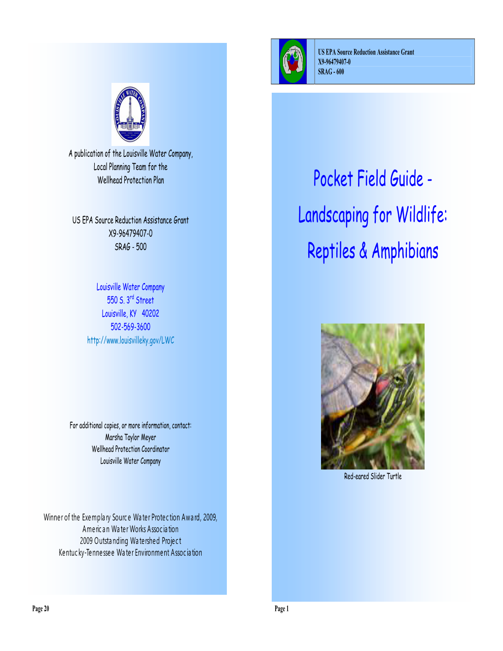 Reptiles & Amphibians