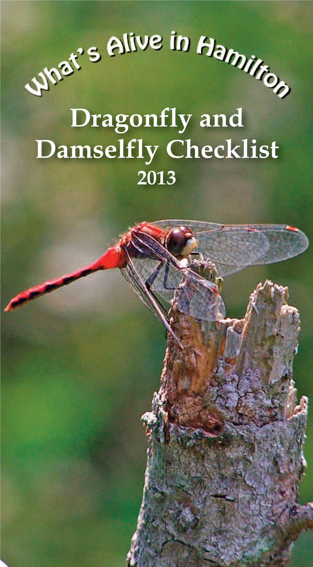 Dragonfly and Damselfly Checklist 2013 Date Or Location of Observation ABCD