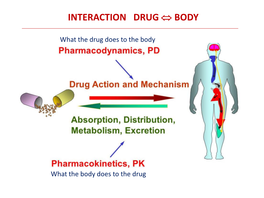 Potency and Efficacy (Effectiveness) - Therapeutic Index
