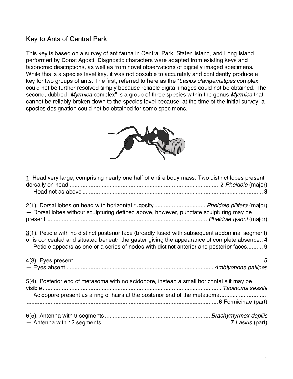 Key to Ants of Central Park