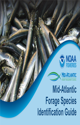 Mid-Atlantic Forage Species ID Guide