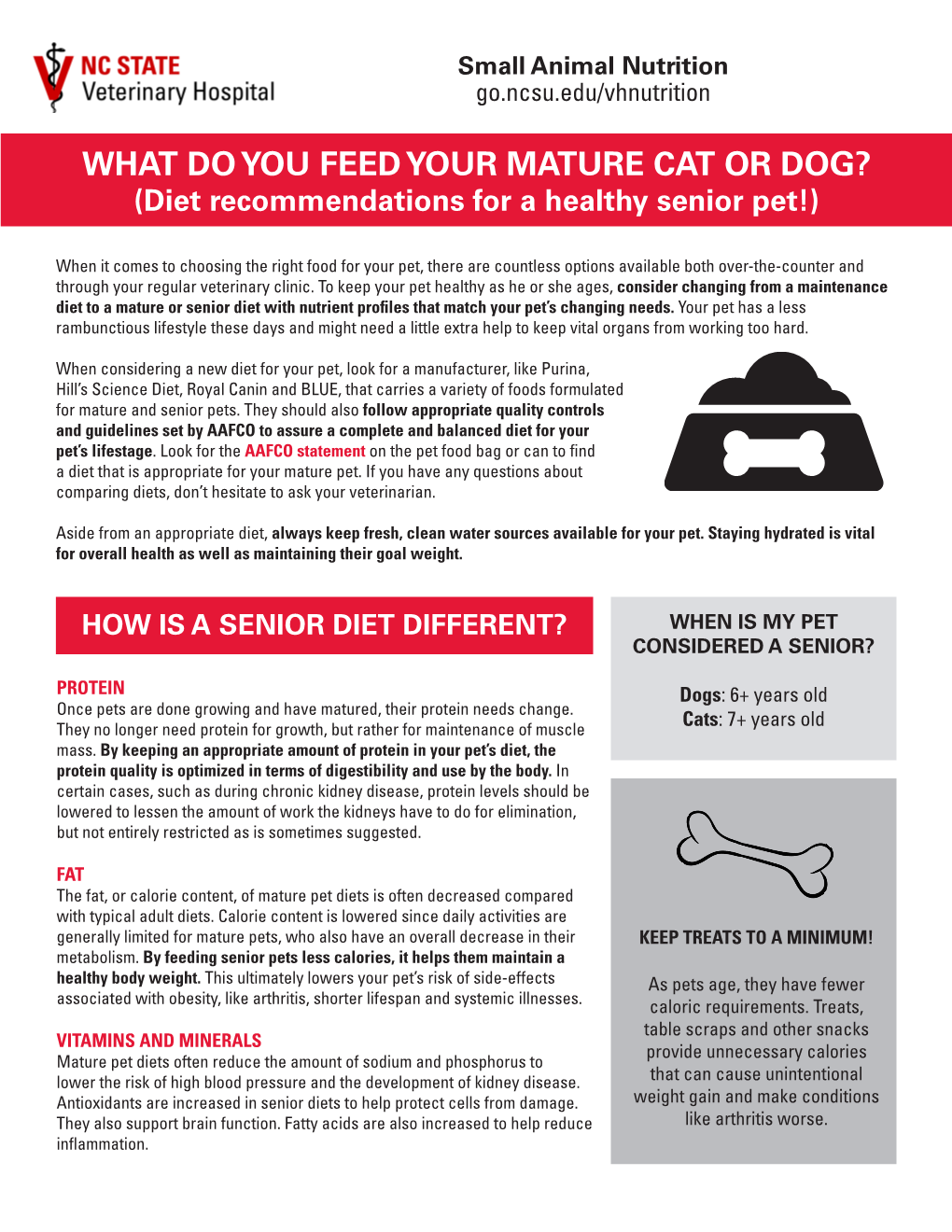 WHAT DO YOU FEED YOUR MATURE CAT OR DOG? (Diet Recommendations for a Healthy Senior Pet!)