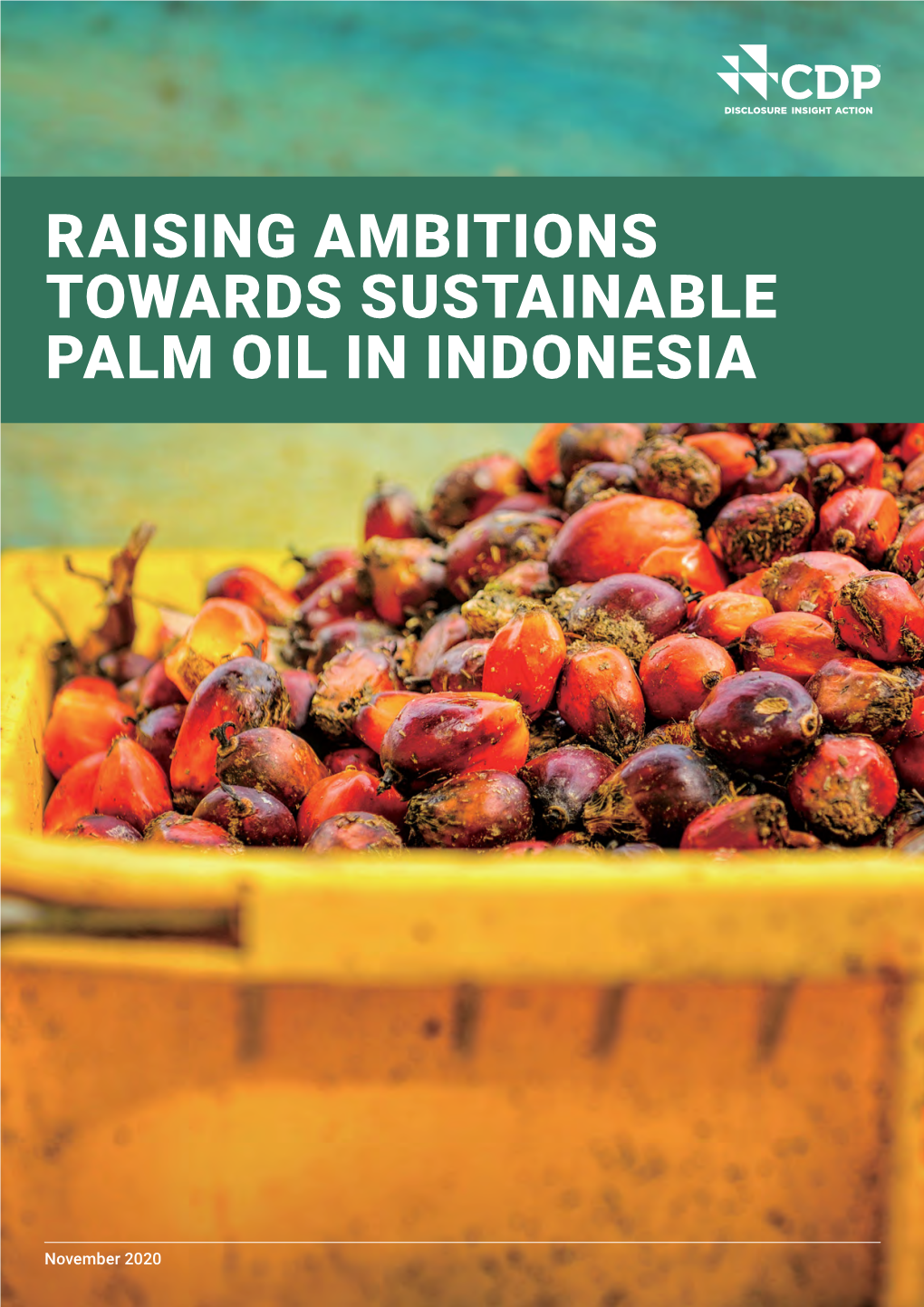 Raising Ambitions Towards Sustainable Palm Oil in Indonesia