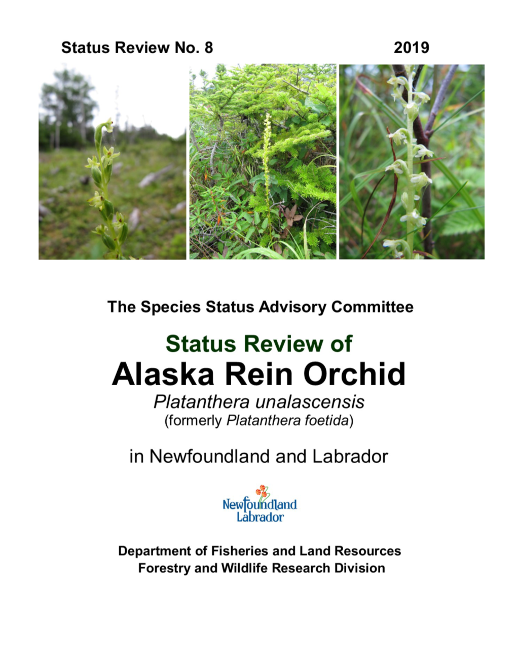 Alaska Rein Orchid Re-Assessment