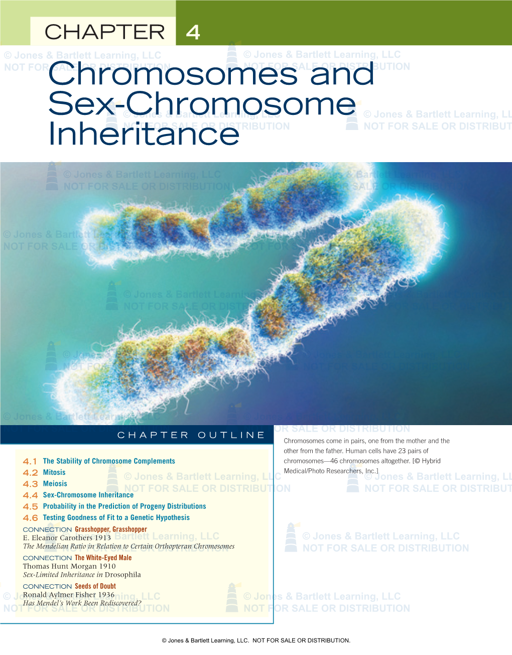 Chromosomes and Sex-Chromosome Inheritance