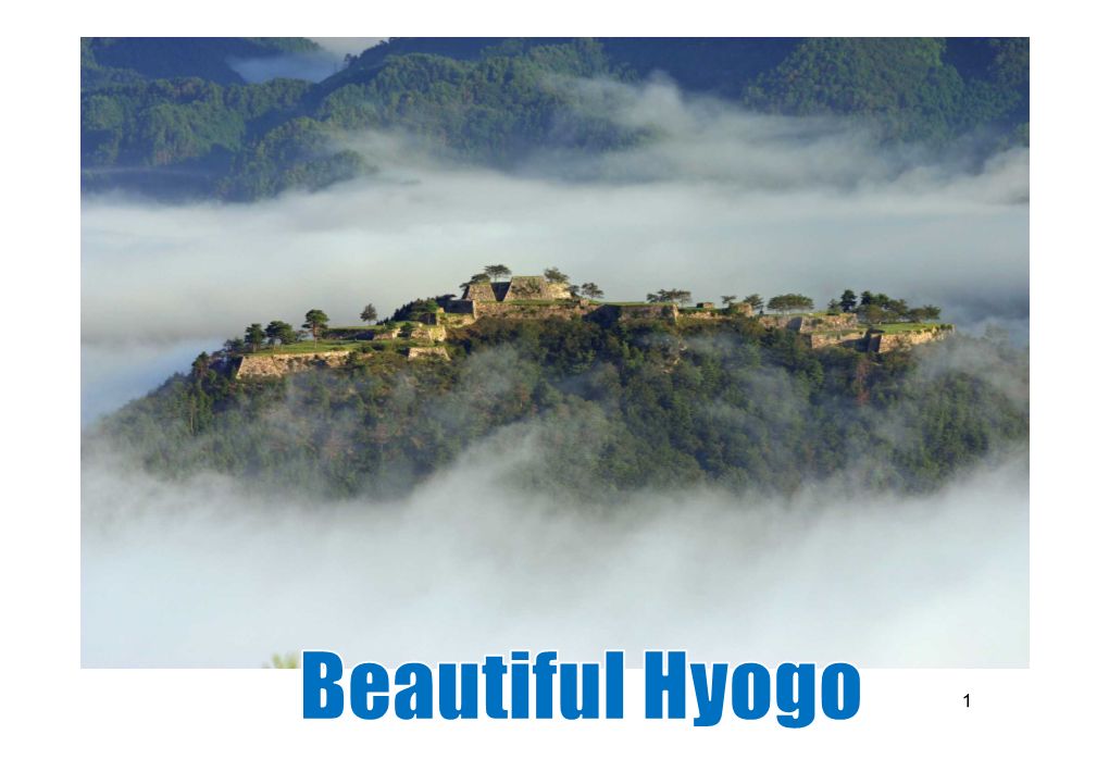Himeji Castle - World Heritage Site Beautiful Hyogo