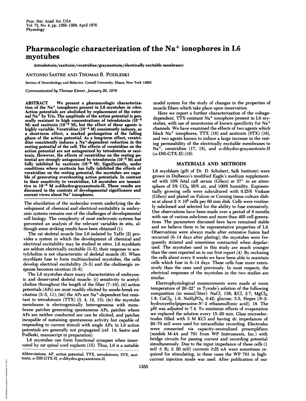 Myotubes (Tetrodotoxin/Saxitoxin/Veratridine/Grayanotoxin/Electrically Excitable Membrane) ANTONIO SASTRE and THOMAS R
