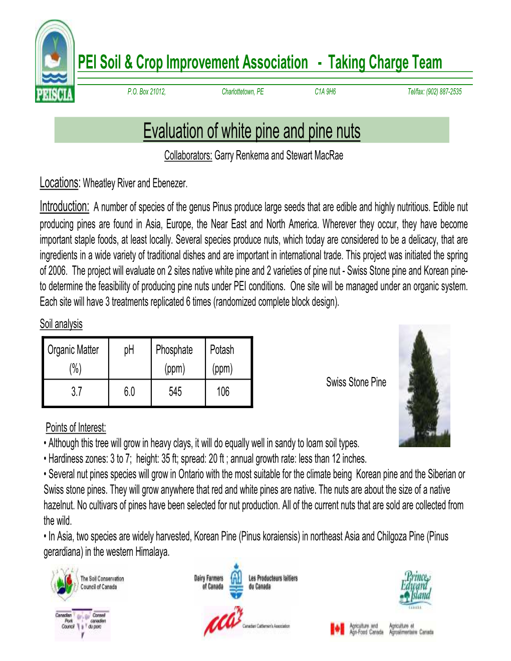 Evaluation of White Pine and Pine Nuts Collaborators: Garry Renkema and Stewart Macrae