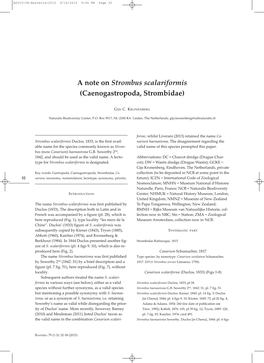A Note on Strombus Scalariformis (Caenogastropoda, Strombidae)