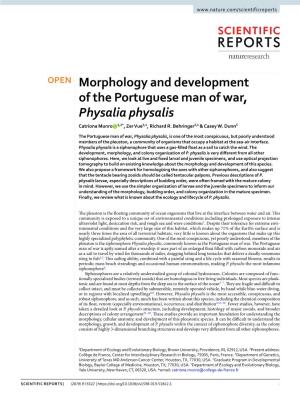 Morphology and Development of the Portuguese Man of War, Physalia Physalis Catriona Munro 1,2*, Zer Vue3,4, Richard R