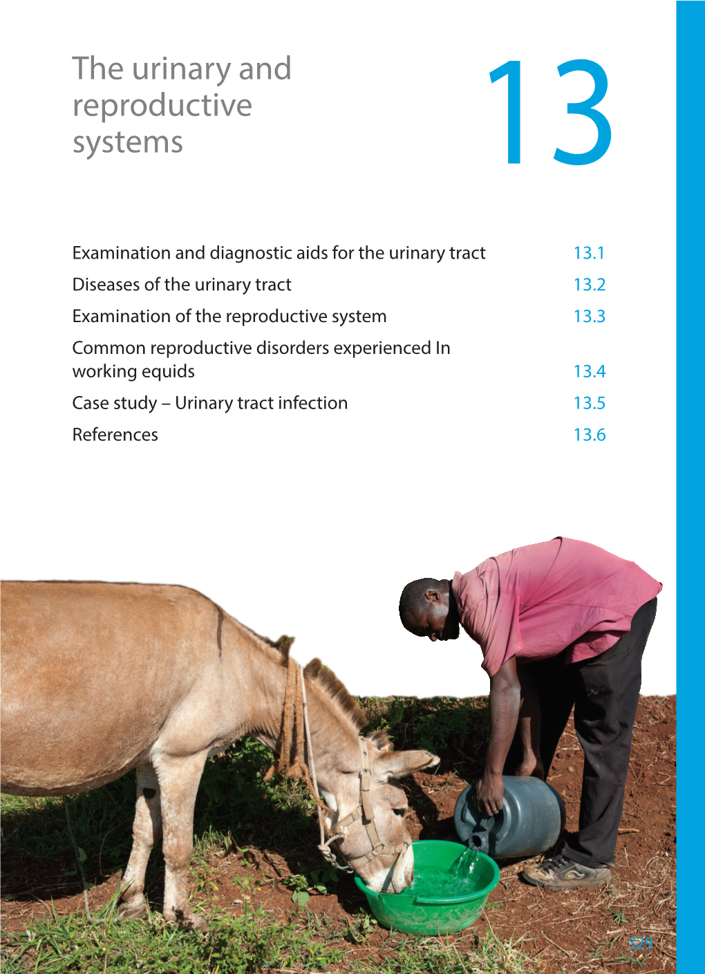 Chapter 13: the Urinary and Reproductive Systems