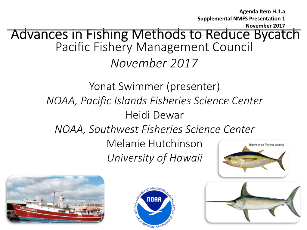 Advances in Fishing Methods to Reduce Bycatch