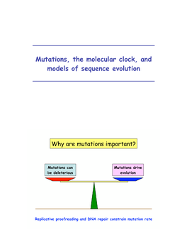 Mutations, the Molecular Clock, and Models of Sequence Evolution