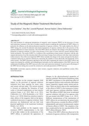Study of the Magnetic Water Treatment Mechanism