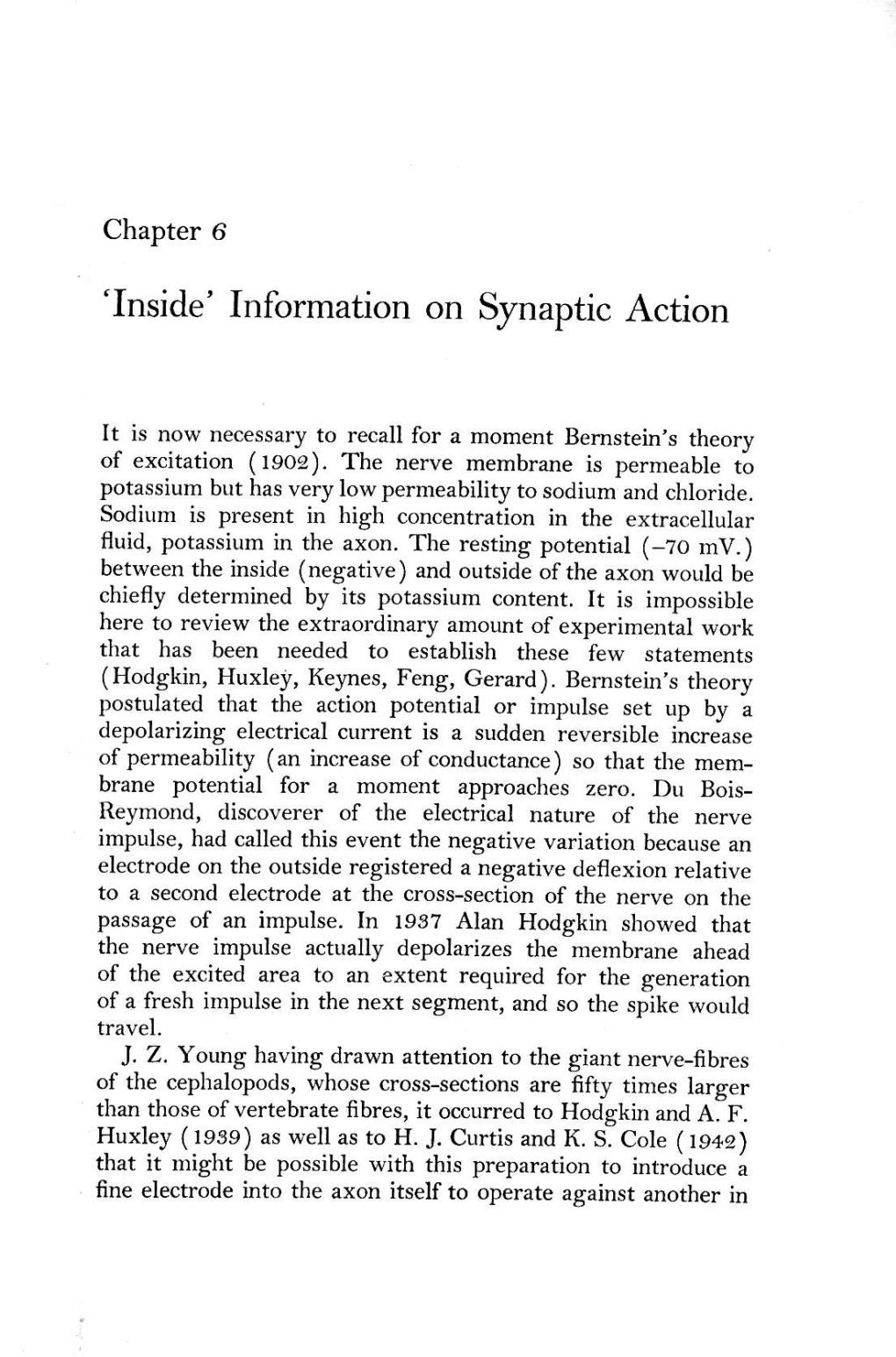 'Inside' Information on Synaptic Action