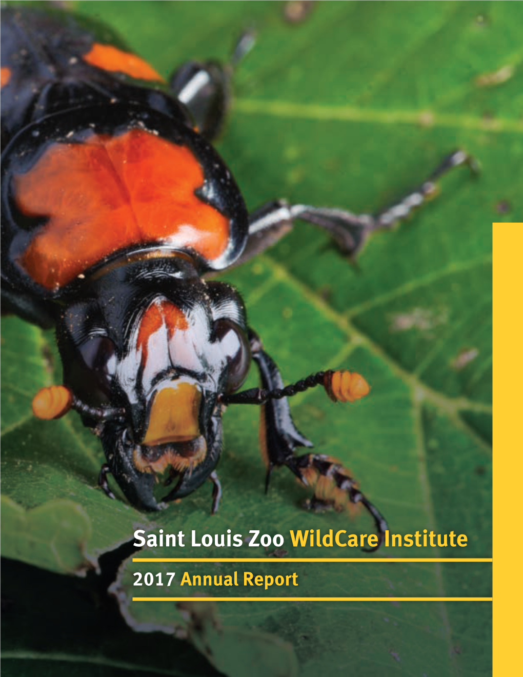 Saint Louis Zoo Wildcare Institute 2017 Annual Report Galápagos Hawk