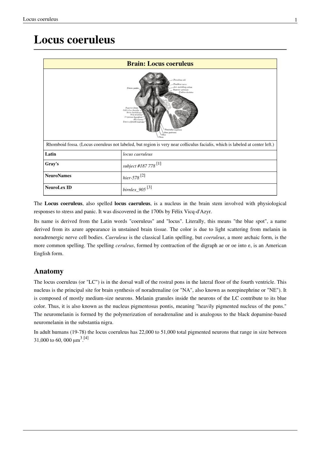 Locus Coeruleus 1 Locus Coeruleus