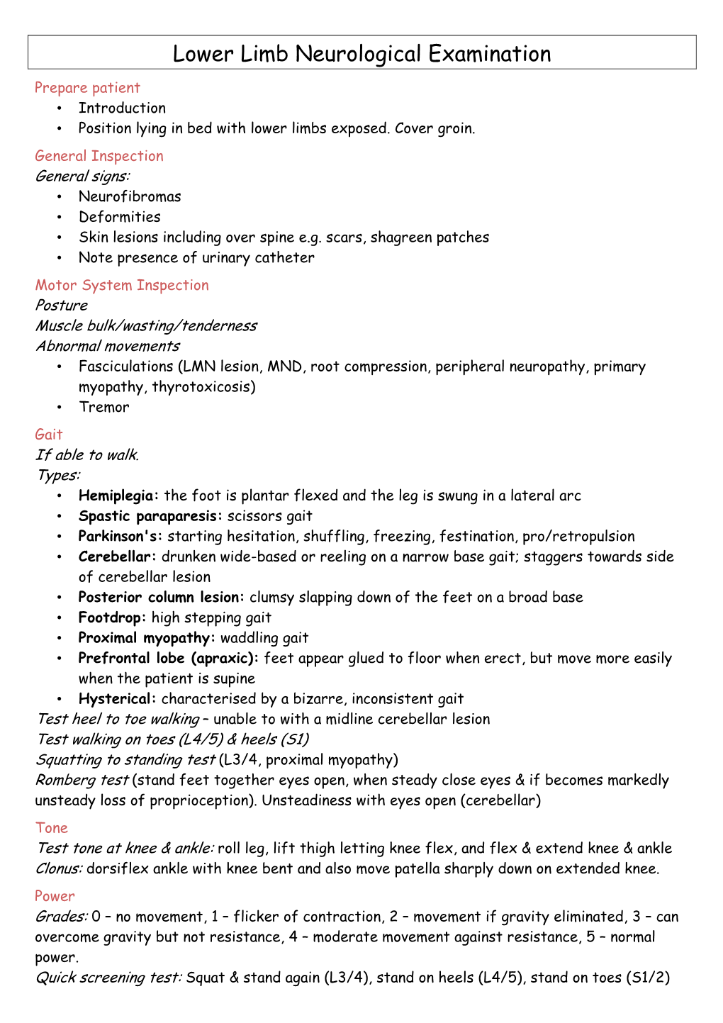 Lower Limb Neurological Examination