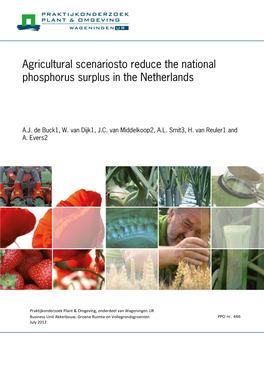 Agricultural Scenariosto Reduce the National Phosphorus Surplus in the Netherlands