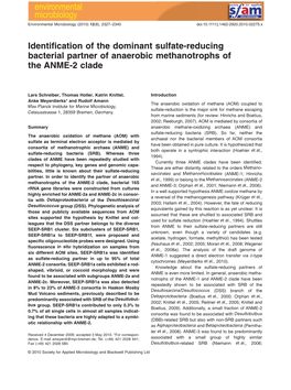 Identification of the Dominant Sulfate‐Reducing Bacterial Partner of Anaerobic Methanotrophs of the ANME‐2 Clade