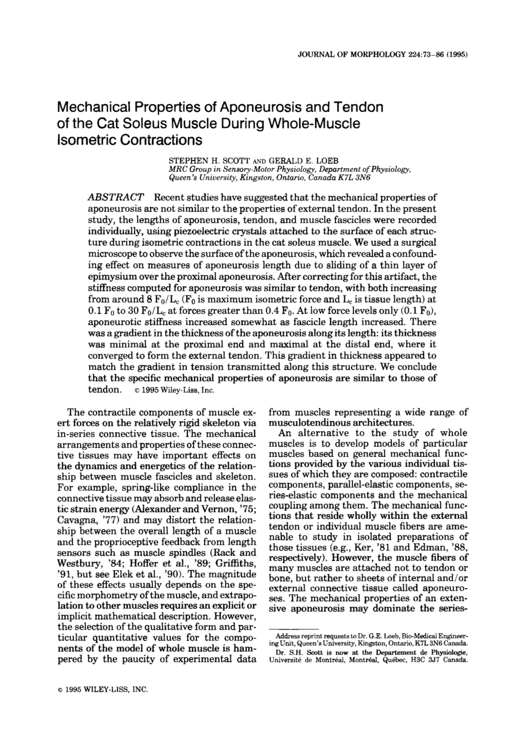 Mechanical Properties of Aponeurosis and Tendon of the Cat Soleus Muscle During Whole-Muscle Isometric Contractions