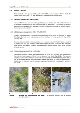 4.3. Priority Two Flora 4.3.1. Persoonia Filiformis (P2)